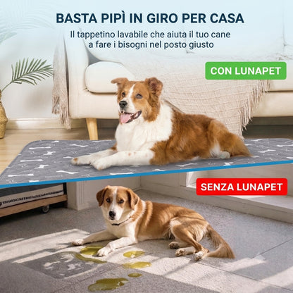 Tappetino Lavabile LunaPet